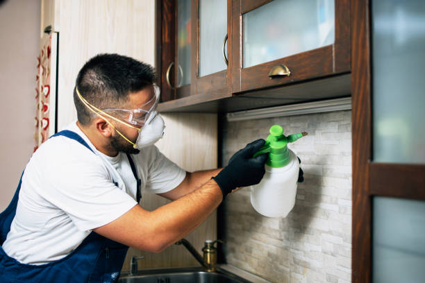 Best Pest Control for Homes  in Byram Center, NJ