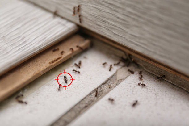 Best Wildlife Control Services  in Byram Center, NJ