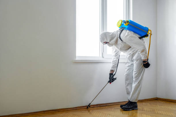 Best Insect Control  in Byram Center, NJ