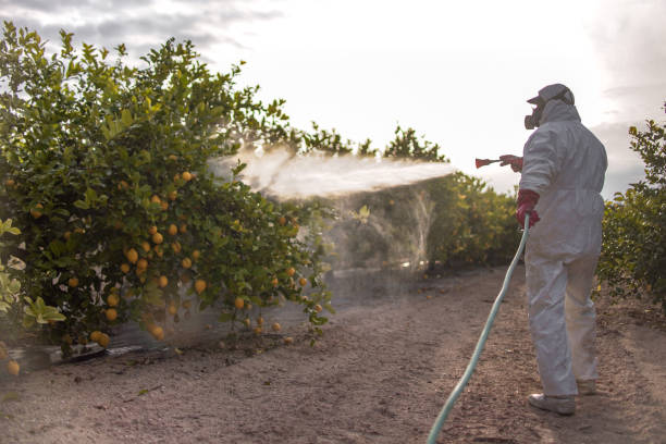 Best Bed Bug Extermination  in Byram Center, NJ