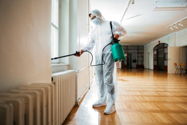 Best Flea Control Services  in Byram Center, NJ