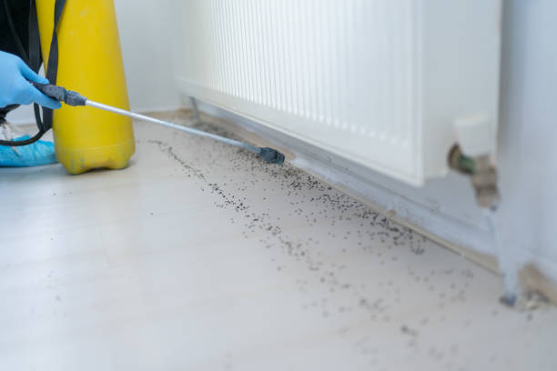 Best Rat Extermination Near Me  in Byram Center, NJ